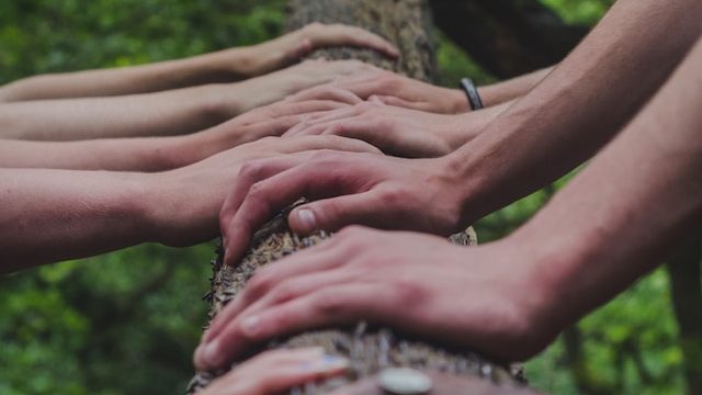 Photo de Shane Rounce sur Unsplash